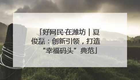 好网民·在潍坊｜夏俊磊：创新引领，打造“幸福码头”典范
